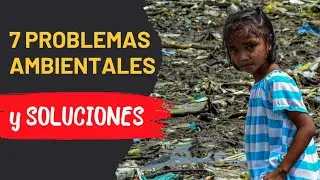 ✅ 7 Problemas Ambientales y Cómo Solucionarlos