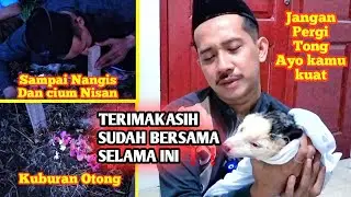 PENYEBAB MUSANG MAT1 , SEDIH MUSANG LEGEND OTONG MAT1 ❗❗