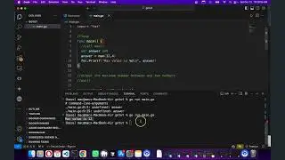 Go lang tutorial - 7 - functions in Go