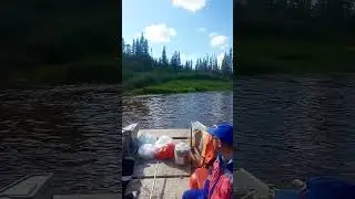 8 сентября 2024 г.