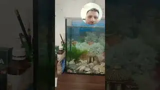 ух ты, рыба! 🤔