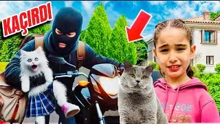 EYVAH ELİF SİNEM HIRSIZ BÜCÜRÜ KAÇIRDI ‼️