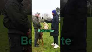 Team großer oder Team kleiner Hund? 🐶