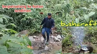 berpetualang ke hutan sambil masak sayur paku ala bang sodara indonesia