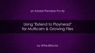 Using Extend to Playhead for Mutlicam & Growing Files