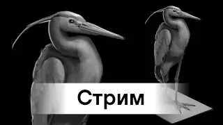 Рисуем птицу. Работа в ЧБ. Построение.