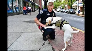 210504 YCPD embarks on new K 9 service program with Victory