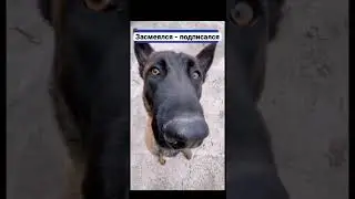 держи своё слово засмеялся подписался 