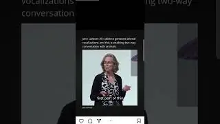 AI will let us communicate with animals!