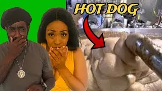 The Disturbing Truth About How Hot Dogs Are Made