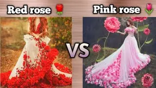 Red rose 🌹 Vs Pink rose 🌷|choose your side|Knowledge with me