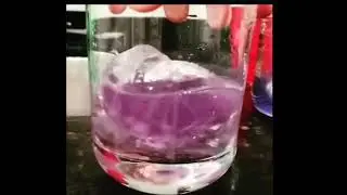 cocktails