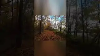Probably my favorite drone of all time the DJI Avata