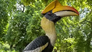#zoo