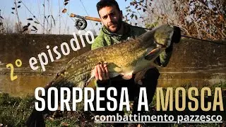 Sorpresa 🎁 cercando le carpe 🐟 a mosca - combattimento - seconda parte -