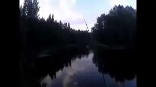 Активная ловля вечером. Ловля на поплавочную удочку