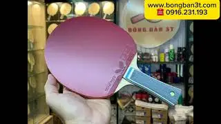 Vợt bóng bàn Butterfly công thủ toàn diện #ViscariaALC #Dignics05 #Tenergy64 #bongban3t