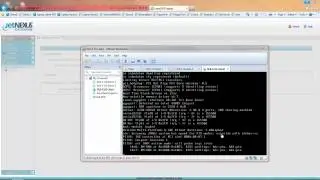 Upgrading jetNEXUS ALB-X software