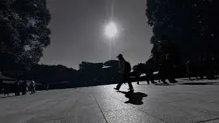 LENZO - Ciani (Official video)
