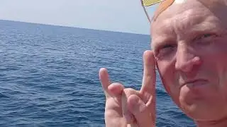дельфины в чёрном море.01.09.2024