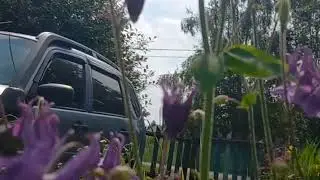 5 июля 2024 г.