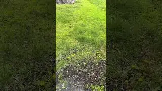 Вот и лето началось,ГРАД.