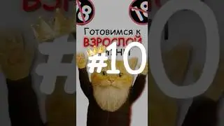 👉🏻 МК: Гайд на ДРУЗЕЙ?! 🙀