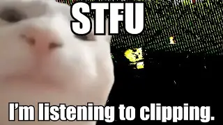 STFU I'm listening to clipping.