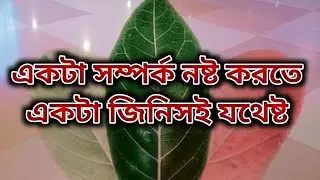 🤔সম্পর্ক নষ্ট করতে এই একটা জিনিস যথেষ্ট 😭