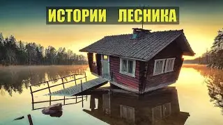 ИСТОРИИ из ЖИЗНИ ЛЕСНИКА НА НОЧЬ СУДЬБА ЖИЗНЬ МЕДВЕДИ ВОЛКИ в ЛЕСУ СЕРИАЛ ВСЕ СЕРИИ