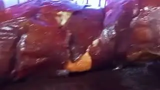 lechon 🤤