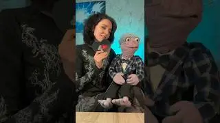 А ВЫ КАК БУДЕТЕ ПРАЗДНОВАТЬ?❤️ 