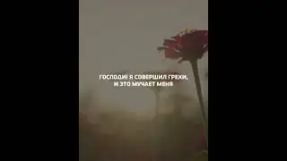 30 июля 2022 г.