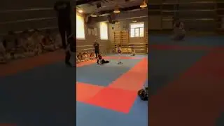 тренировки по тхэквондо 