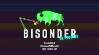 'Daarom stort de video-markt in' | Bisonder de Podcast #8