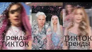 Тренды сегодня №41| Амаделя