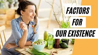 What Are The Three Main Factors That Are Important For Our Existence (Healthy Living Tips)