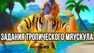 Задания Тропического Мяускула | Как выполнить задания Тропического мяускула