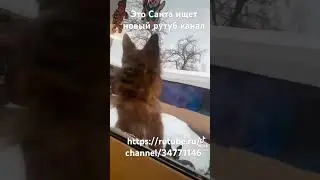 Переходи на рутуб  👇👇👇