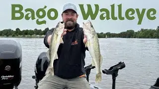 WALLEYE | LAKE WINNEBAGO | 2024