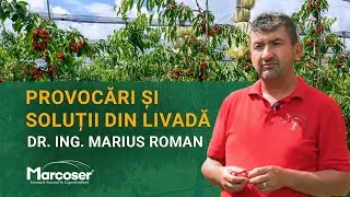 🍒 Provocări și soluții la cultura de cireși  - Interviu "Paradisul Cireșelor" | Marcoser