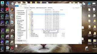Урок 15  Изменение языков в Premiere Pro