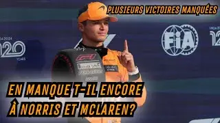 DES ERREURS QUI ONT COÛTÉ CHEZ MCLAREN ET LANDO NORRIS?
