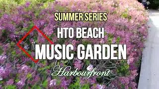 SUMMER SERIES:  THE MUSIC GARDEN & H T O   BEACH