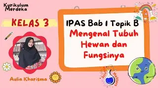 Mengenal Bagian Tubuh Hewan dan Fungsinya - IPAS Kelas 3 Bab 1 Topik B Kurikulum Merdeka