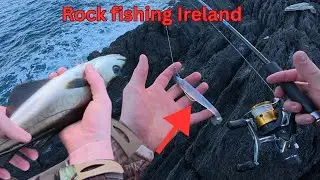 Rockfishing the Irish Coast! 🎣🇮🇪 Non-Stop Action from the Rocks! 🐟🔥