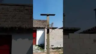 Buen Dorado uruguayo