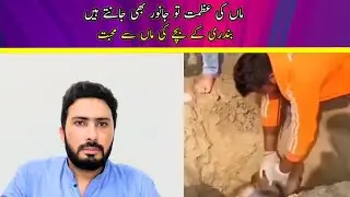 Bandri K bachy ka waqiya |RJ ABDULLAH JAN