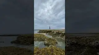 🥷 🌊