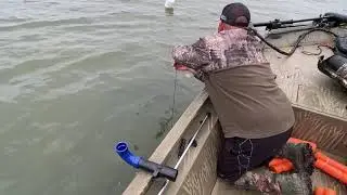 Bullhead catfish on trotline and jugs 